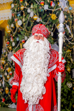 В преддверии Нового года Вологодская областная научная библиотека предлагает почитать с Дедом Морозом